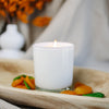 Apricot Vetiver Classic Candle